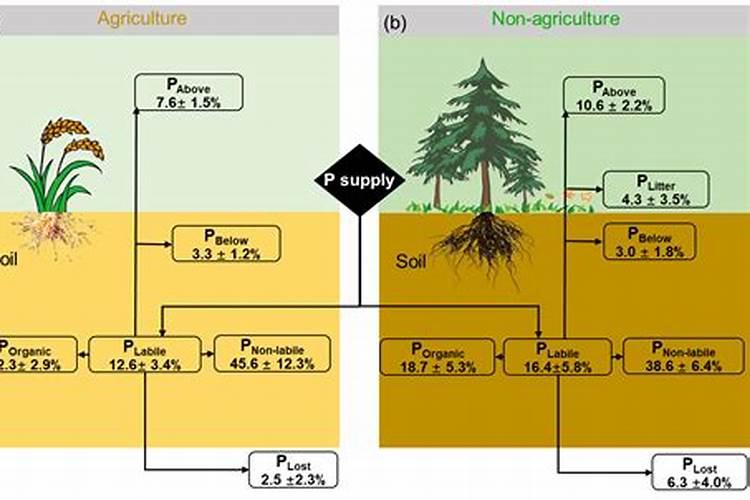 沙湾市有哪些工厂