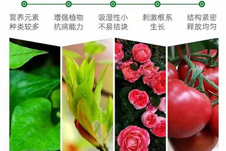 叶面肥什么牌子最好