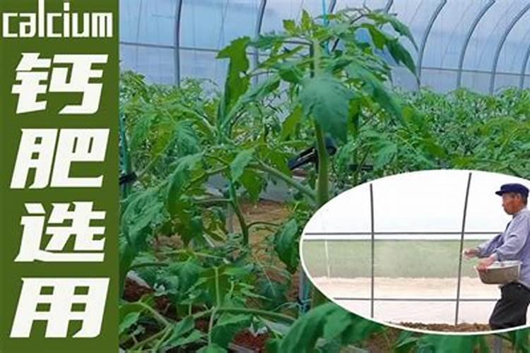 怡福源净水器怎么更换滤芯