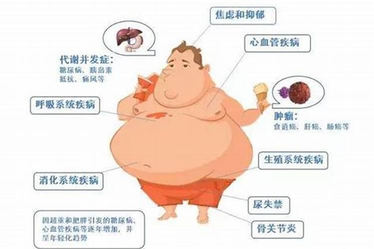 氨基酸水溶肥跟腐殖酸水溶肥区别在哪里