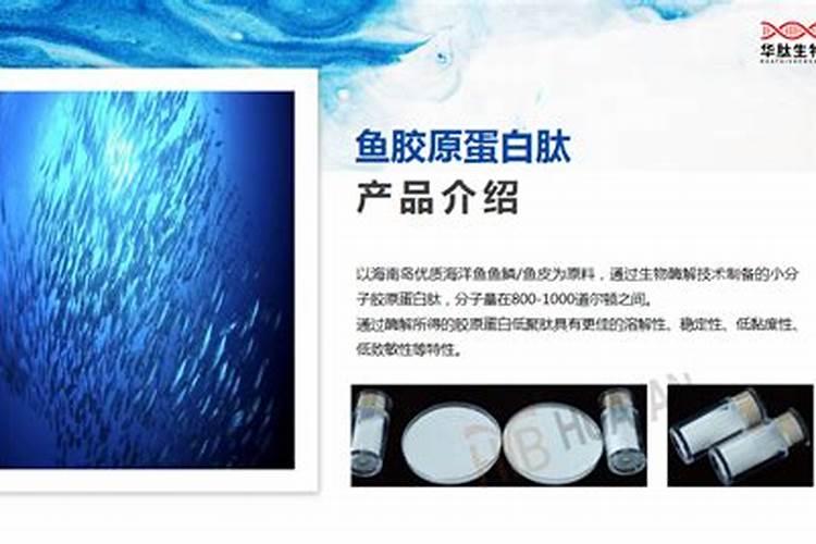 鱼蛋白肥料哪个品牌好