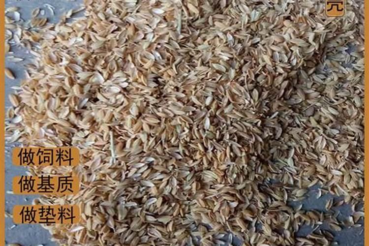什么是含硫尿素