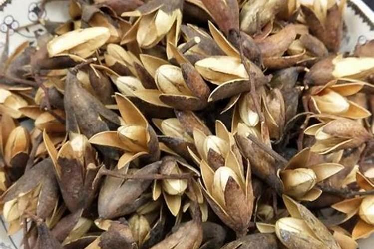 大豆播前种子处理方法