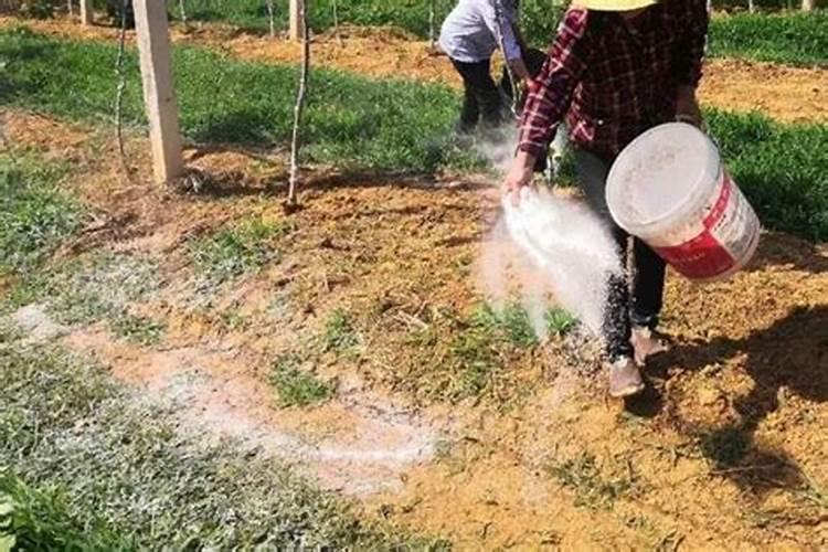 种花生用高氯的化肥好吗