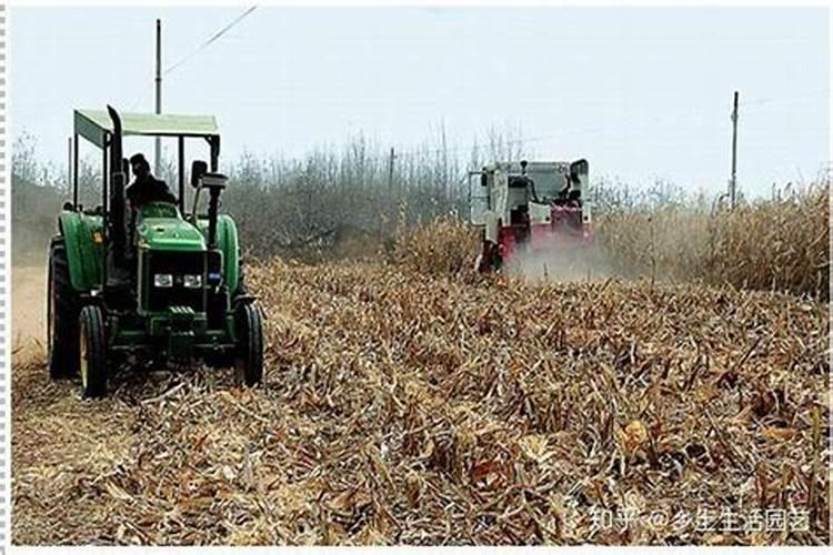 禾本科作物秸秆还田时为什么要配施速效性化学氮肥