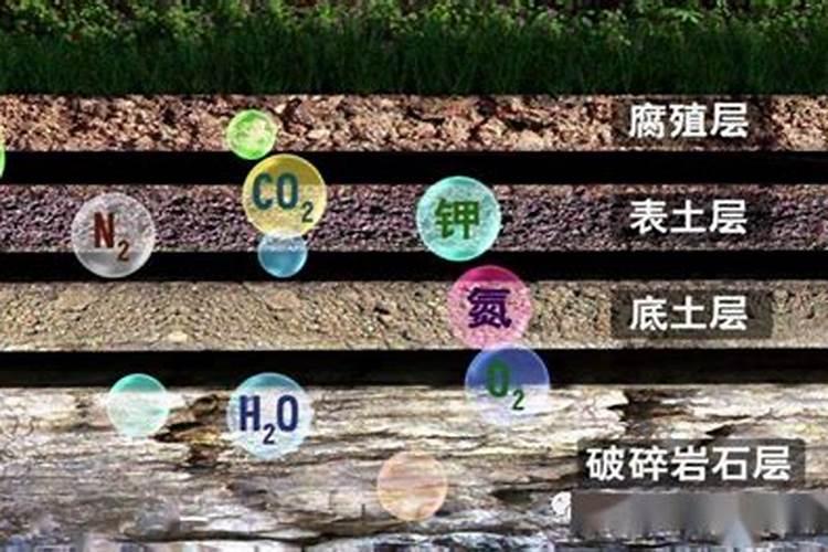 磷肥治盐碱地吗