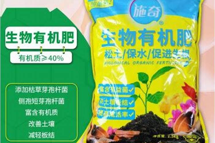 五针松怎么施肥的？