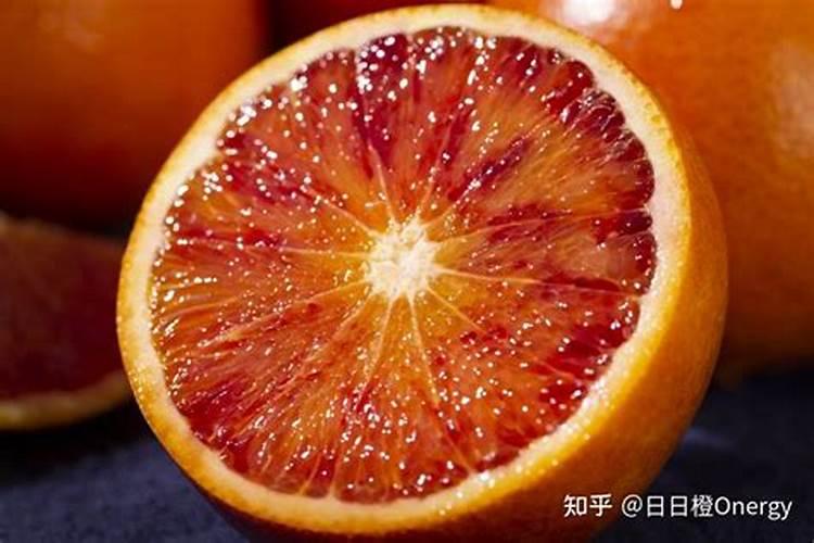 文竹需要晒太阳吗还是不能晒