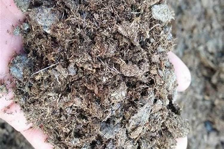 山西中盐大化肥业有限公司怎么样？