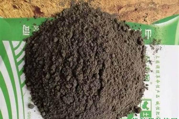 西瓜是膨大剂催大的,致癌？文科生不学无术又想搞个大新闻