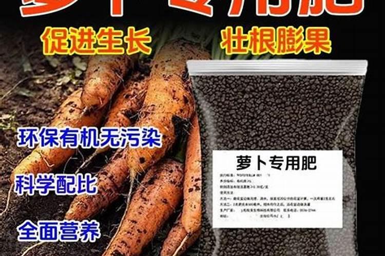 萝卜最喜欢什么肥料