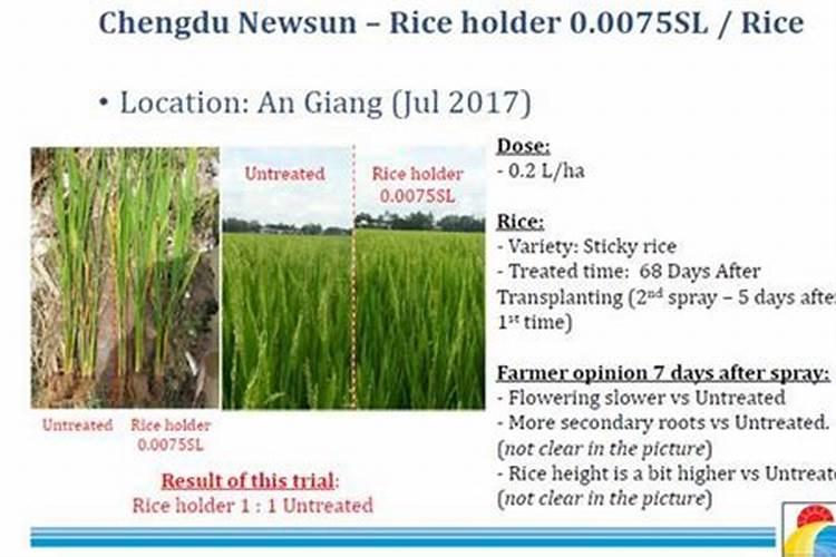 住商肥料玉米专用肥价格多少