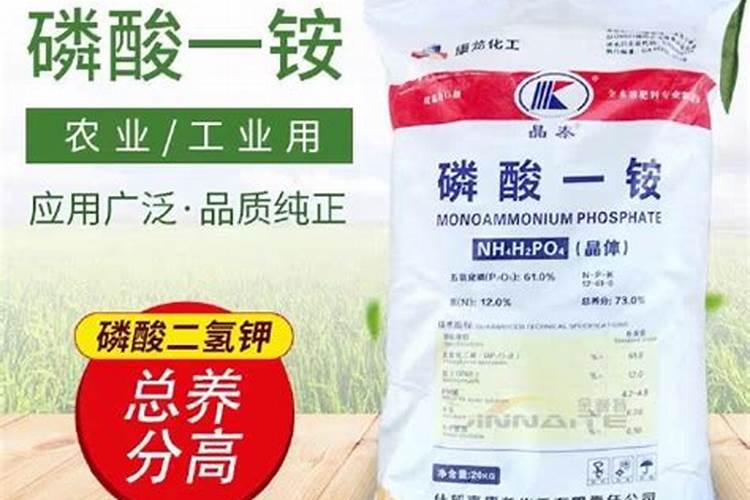 哪种有机肥含磷高？