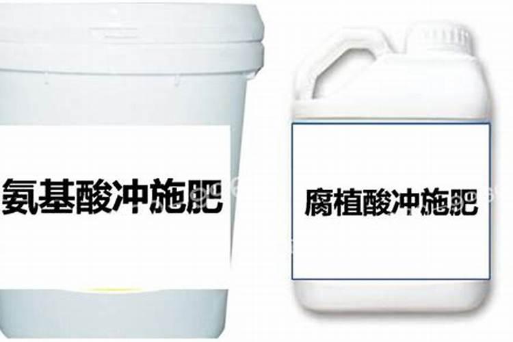 高产大姜施肥方法 姜如何施肥