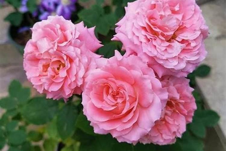 苏州富尔美纺织厂累不累