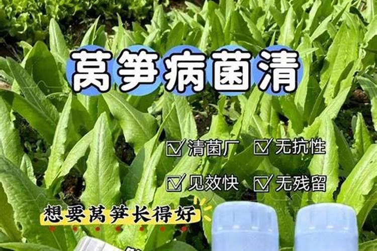 莴笋用什么肥料好？