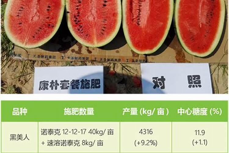 多肽的保存和溶解