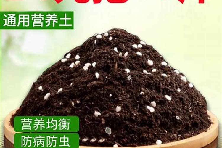 蚯蚓营养土可以直接种花吗