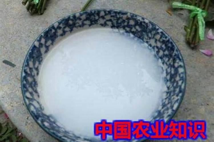 磷肥有哪些