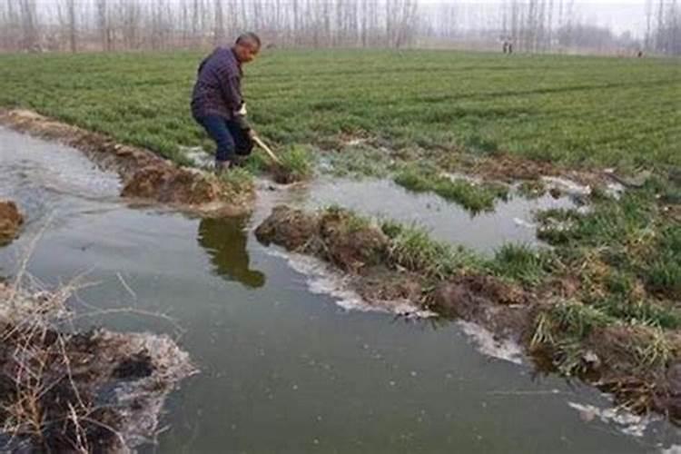 氮肥可以兑水浇花吗