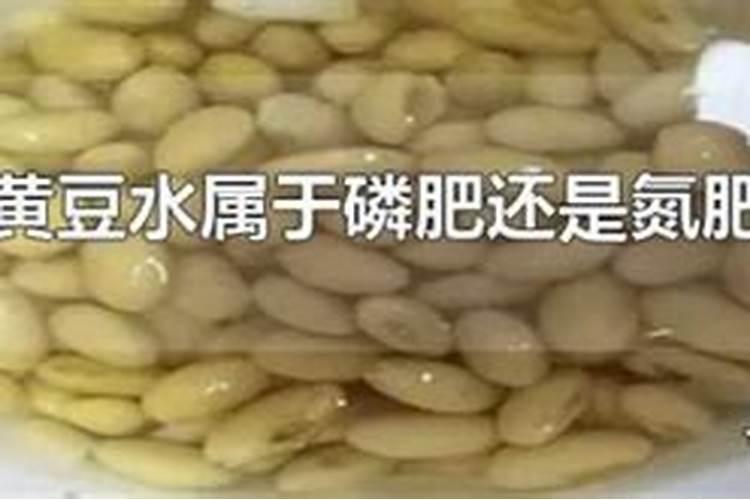 黄豆水是氮肥还是磷肥