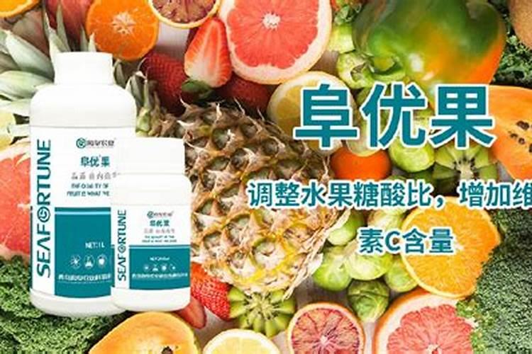 西瓜施多少底肥最好