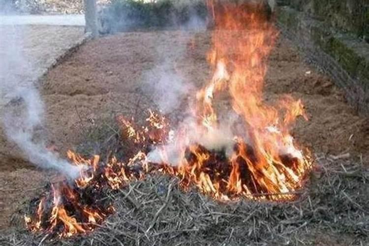 最适合茄子的肥料