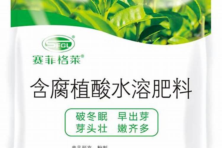 茶叶用什么肥料好？茶叶生态种植技术方案