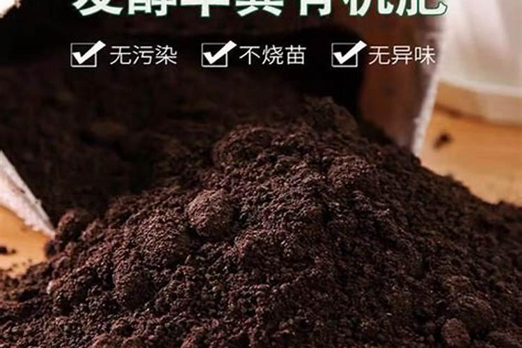 有机肥可以直接种花吗