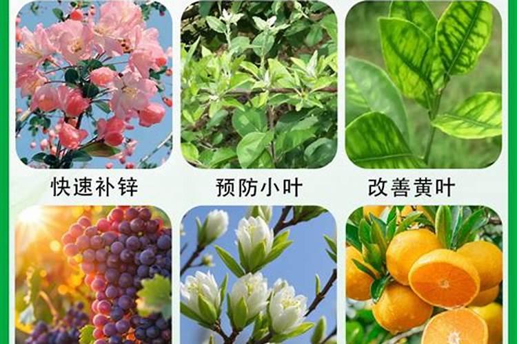 请问我们现在作物常喷代森锰锌和代森锌,这样的补锌量作物通常会不会缺锌...