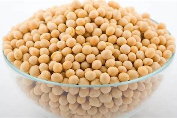 炒熟的黄豆可以做肥料吗