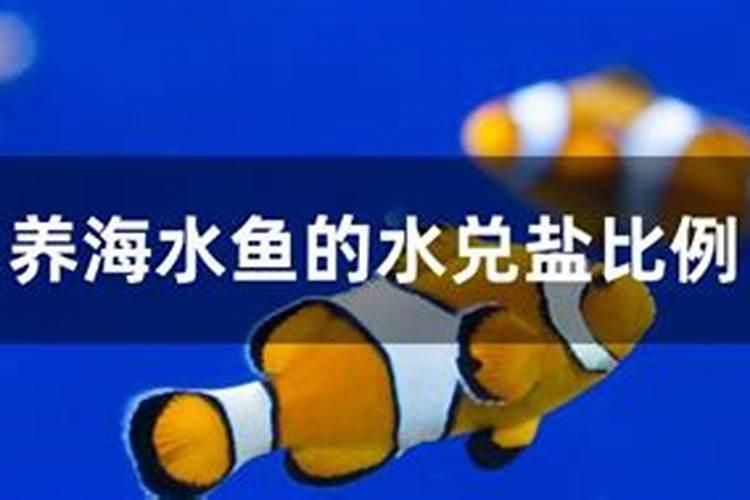 种植花生亩施多少复合肥最合适