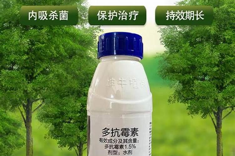 苹果树这个季节主要打哪些药那