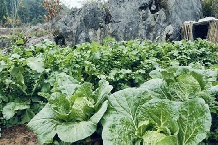 霍州市兴佳肥料有限公司怎么样？