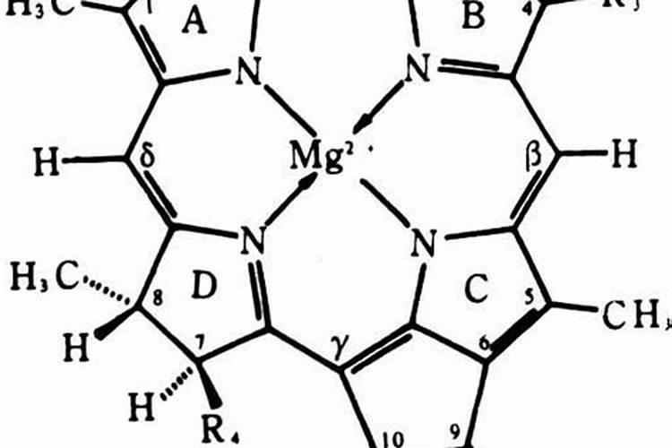 樱桃树叶叶脉绿色脉间失绿黄绿是缺什么肥料？