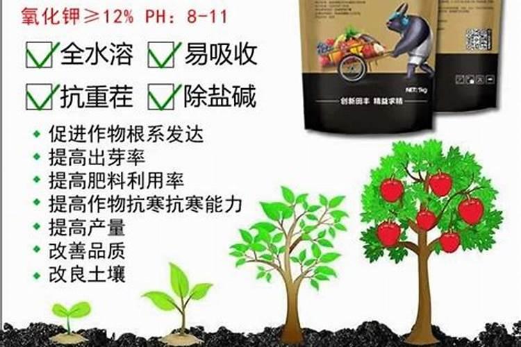 黄腐酸钾浓度高了会烧草莓吗