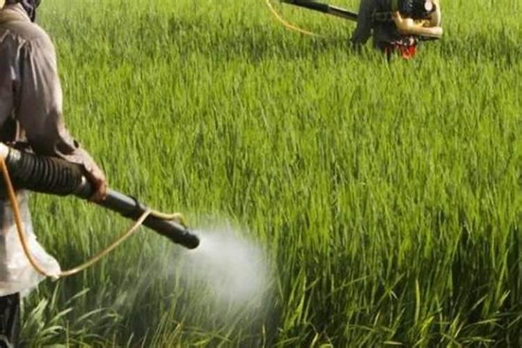 钙镁磷肥做颗粒的厂家有哪些