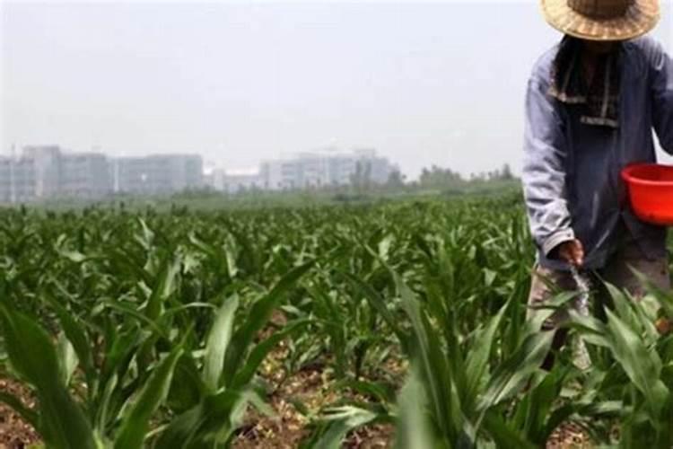 玛塔牡蛎钙:玛塔将亮相第三届BAA万商大会暨农业产销博览会