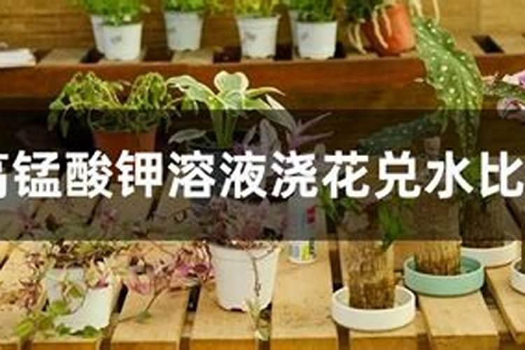 蔬菜浇什么肥料最好