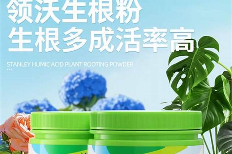 养花施什么肥最好