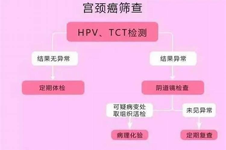 枣树苗秋季最后一次打药什么时候最好？打什么药