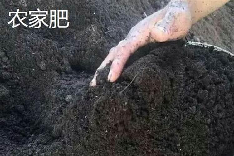 农家肥是什么肥