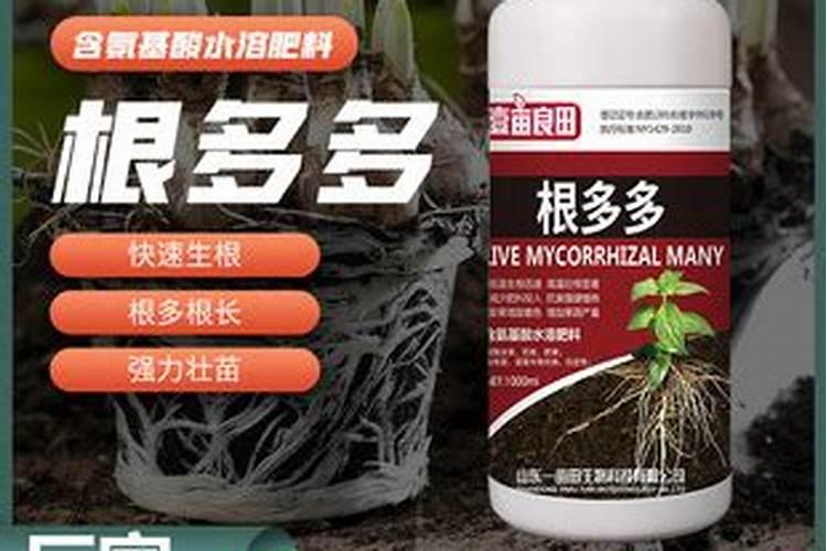生根剂哪个好