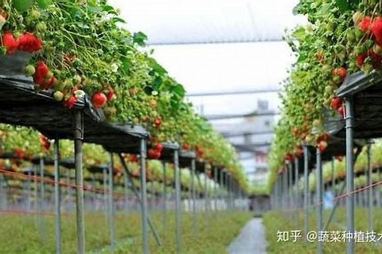 药肥双控保水功能型肥料多少钱一袋