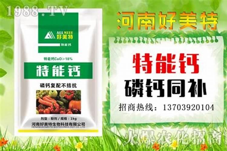 在果树上如何施用钙肥