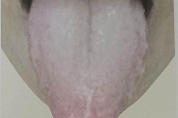 acca kappa白苔香水好用吗？