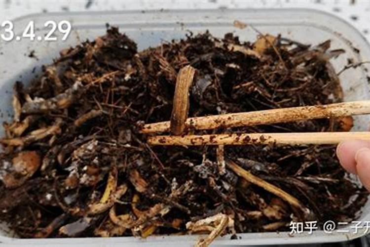 堆肥桶液体管多久