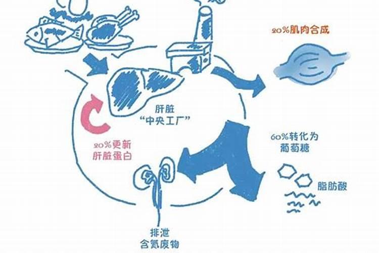 大叶芹怎么能储存时间长 大叶芹如何能储存时间长