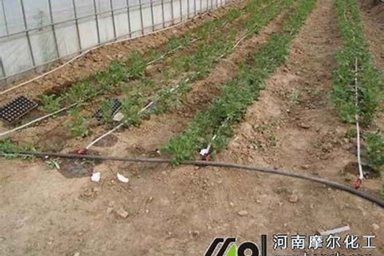 高氯中氯低氯指的是什么意思在复合肥中？