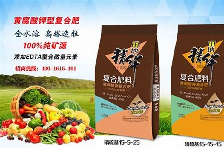 绿萝施什么肥好